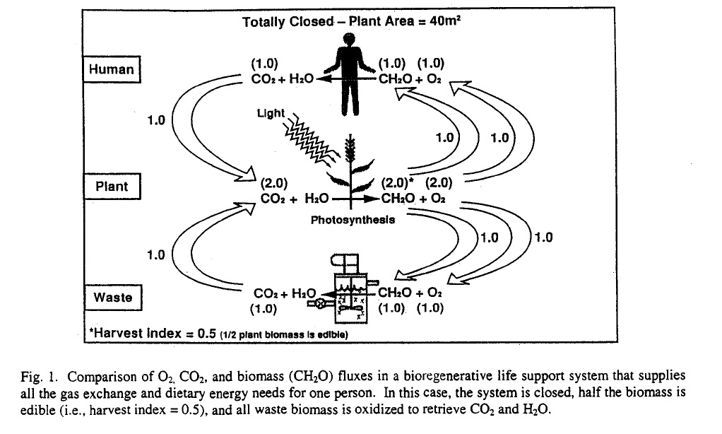 Bioregenerative CELSS cycle diagram